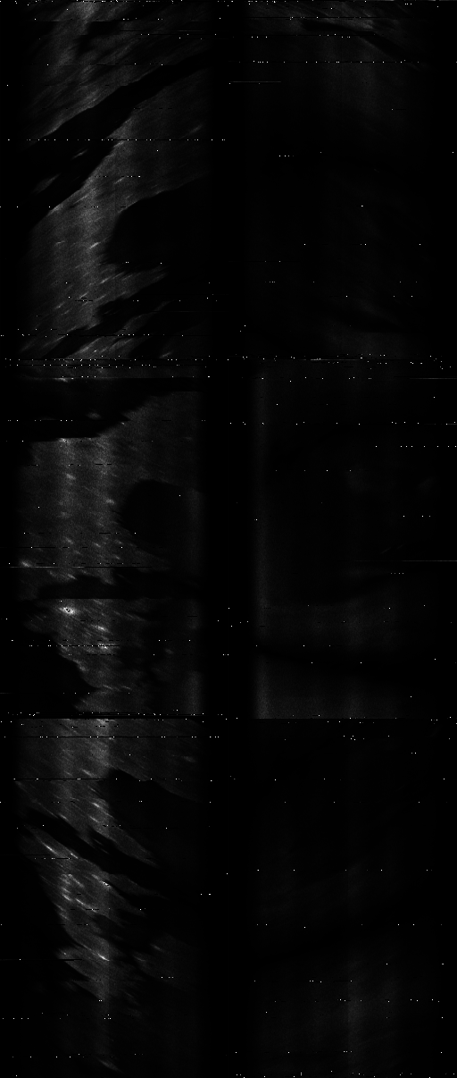 ASCAT-ALL.png